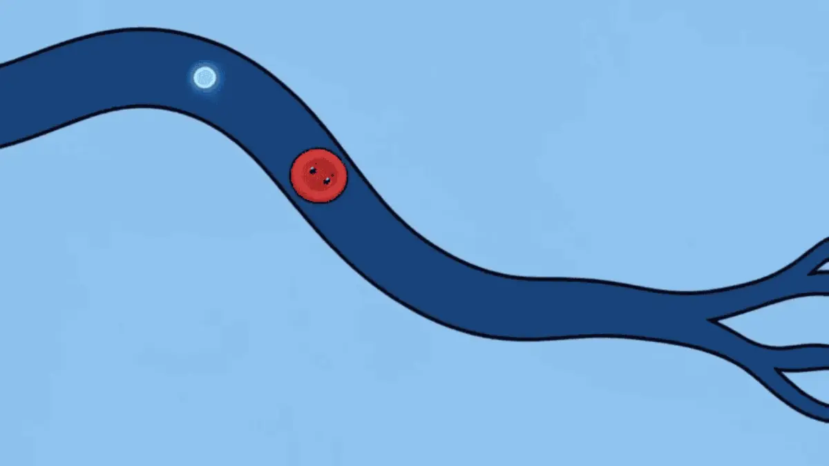 Seedance 2.5 animation midway through the vessel tracking shot