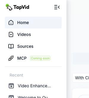 TapVid-Navigation mit MCP als Coming soon