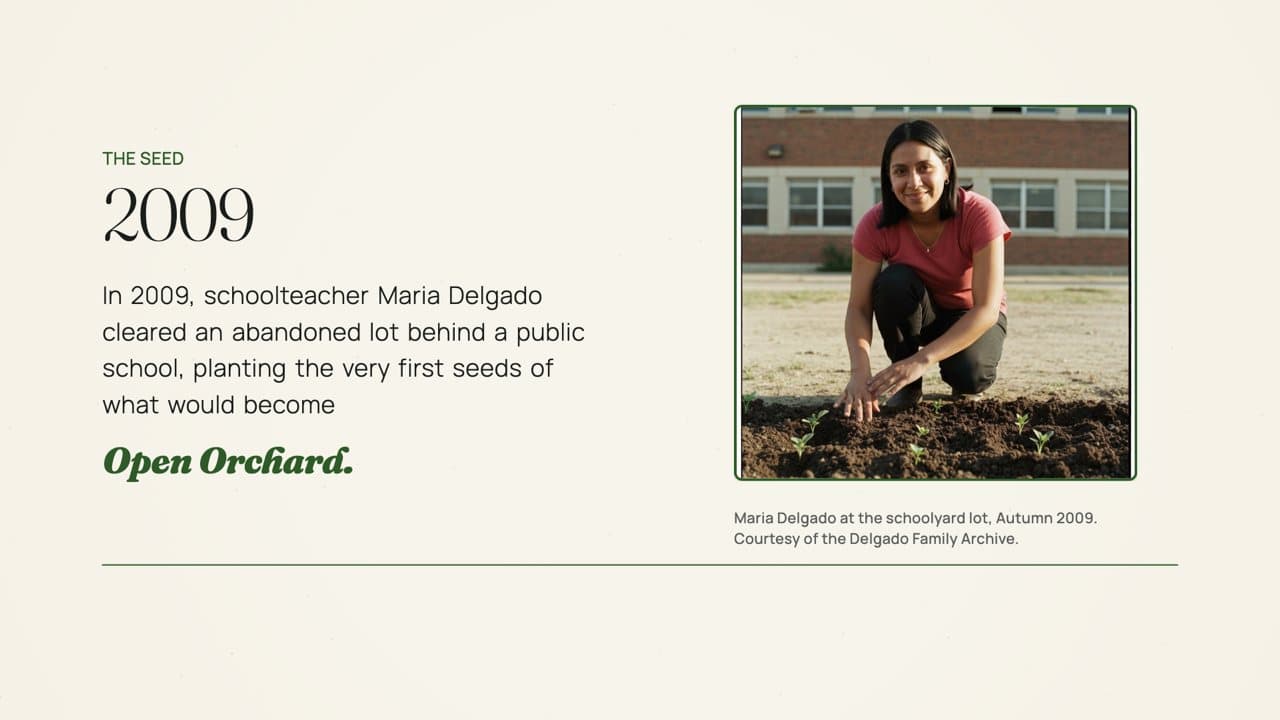 Open Orchard: Cultivating Community and Dignity One Lot at a Time