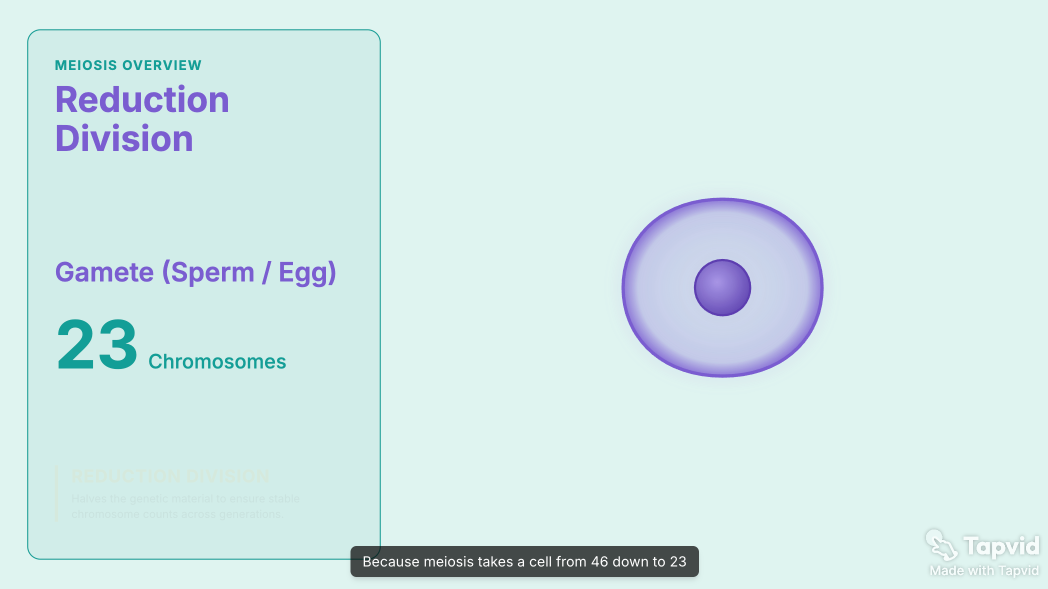 A frame from an animated AI explainer video showing motion-graphics style