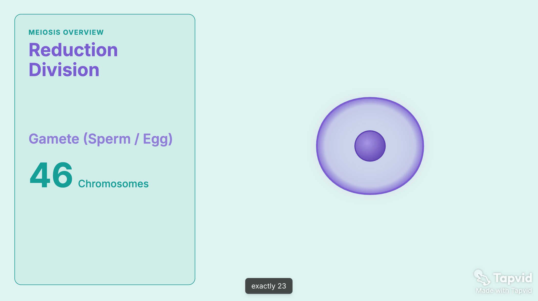 A frame from an animated AI explainer video showing motion-graphics style
