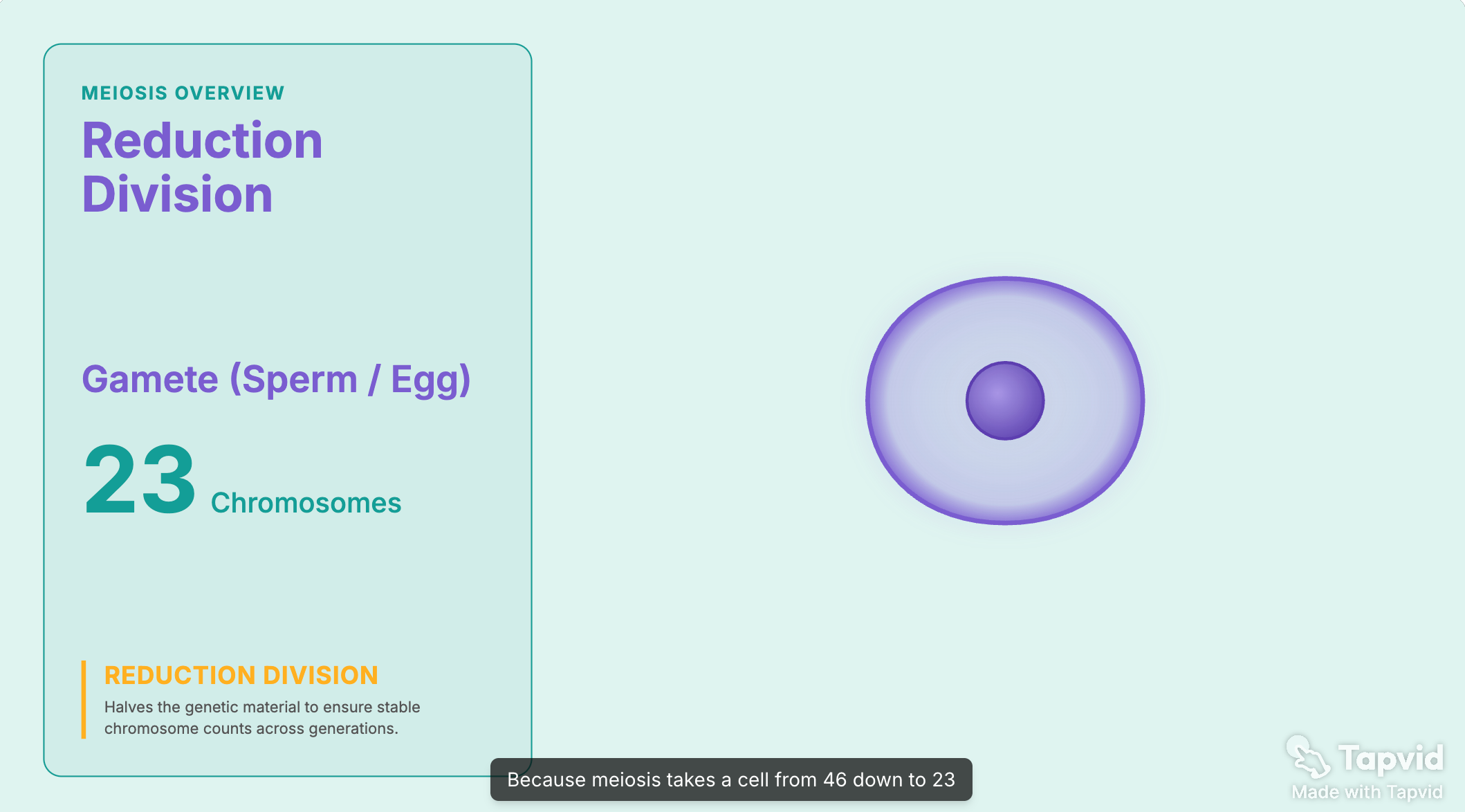 A frame from an animated AI explainer video showing motion-graphics style